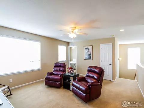 2999 E 152nd Pl, Thornton, CO 80602 photo 16