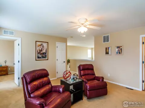 2999 E 152nd Pl, Thornton, CO 80602 photo 18
