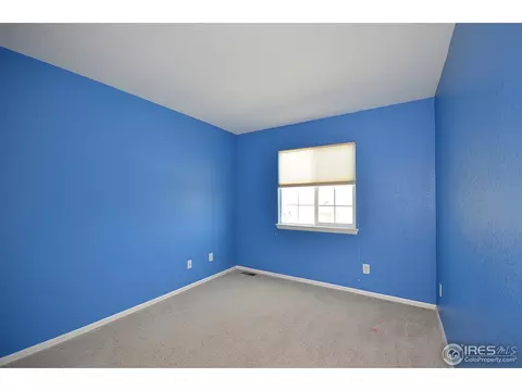 536 Botley Ct, Windsor, CO 80550 photo 19
