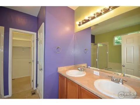 536 Botley Ct, Windsor, CO 80550 photo 14