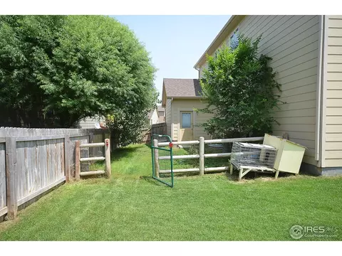 536 Botley Ct, Windsor, CO 80550 photo 21