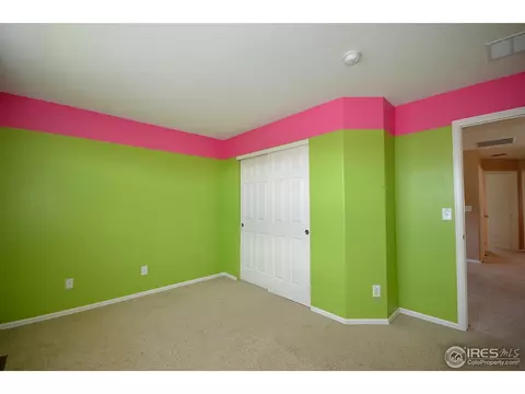 536 Botley Ct, Windsor, CO 80550 photo 18