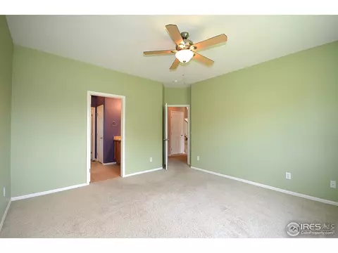 536 Botley Ct, Windsor, CO 80550 photo 13