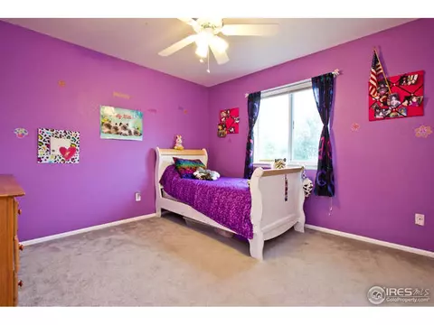 315 Brophy Ct, Frederick, CO 80530 photo 19