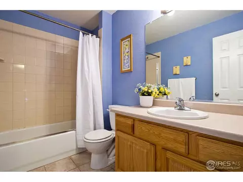 315 Brophy Ct, Frederick, CO 80530 photo 22