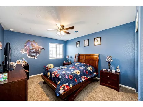 4818 Dunkirk St, Denver, CO 80249 photo 23