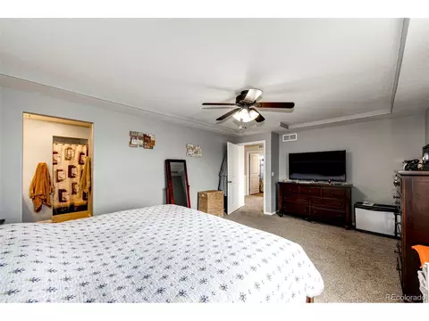 4818 Dunkirk St, Denver, CO 80249 photo 21