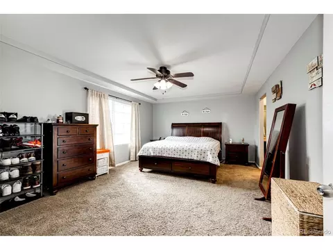 4818 Dunkirk St, Denver, CO 80249 photo 20