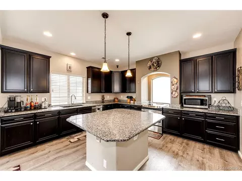 4818 Dunkirk St, Denver, CO 80249 photo 14
