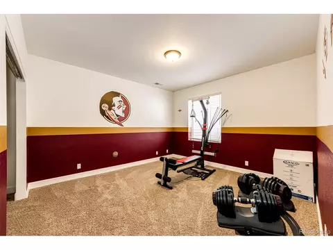 4818 Dunkirk St, Denver, CO 80249 photo 29