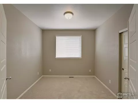 2078 Bayfront Dr, Windsor, CO 80550 photo 4