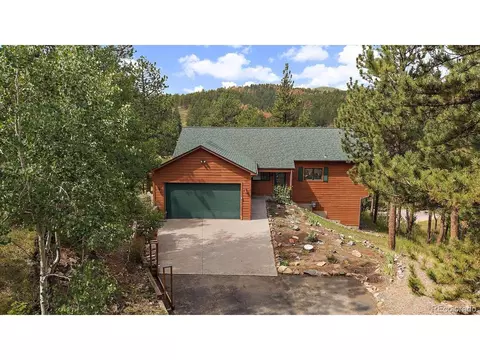 13340 S Cedar Cir, Pine, CO 80470 photo 33