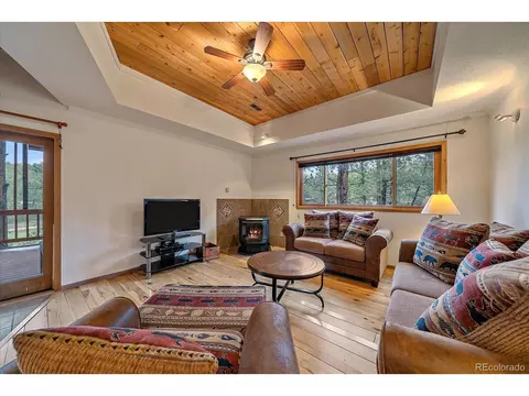 13340 S Cedar Cir, Pine, CO 80470 photo 21