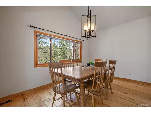 13340 S Cedar Cir, Pine, CO 80470 photo 10