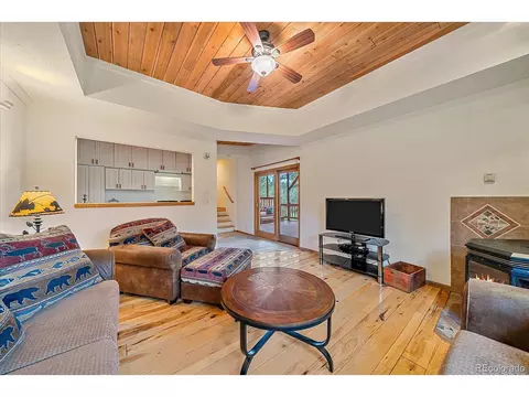 13340 S Cedar Cir, Pine, CO 80470 photo 22