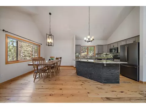 13340 S Cedar Cir, Pine, CO 80470 photo 8