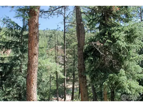 175 Riverside Dr, Lyons, CO 80540 photo 16
