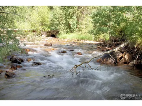 175 Riverside Dr, Lyons, CO 80540 photo 19
