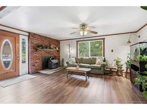 Living - 19133 Silver Ranch Rd, Conifer, CO 80433 photo 3 of 8