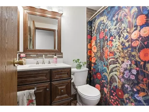 Bath - 19133 Silver Ranch Rd, Conifer, CO 80433 photo 3 of 3