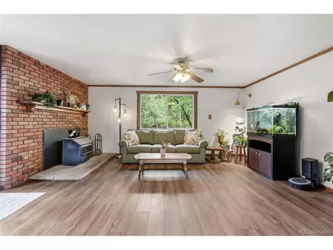 Living - 19133 Silver Ranch Rd, Conifer, CO 80433 photo 4 of 8
