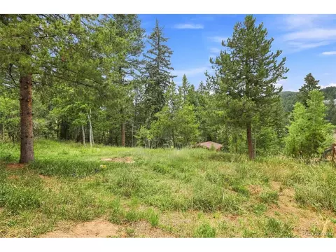 Exterior - 19133 Silver Ranch Rd, Conifer, CO 80433 photo 8 of 10
