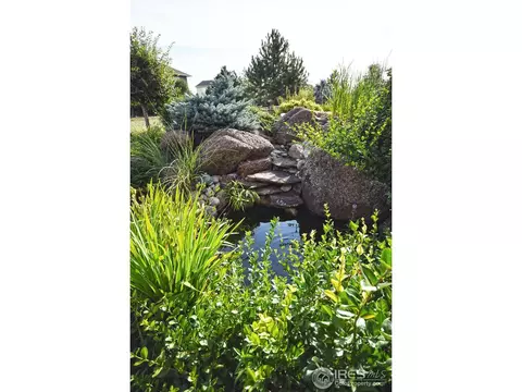 1972 Yonkee Dr, Windsor, CO 80550 photo 23