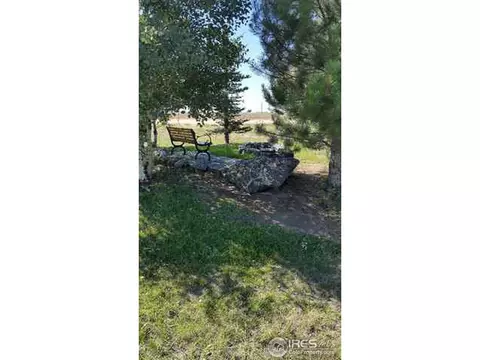 5545 County Road O, Wiggins, CO 80654 photo 3