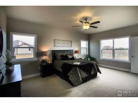 8233 Cherry Blossom Dr, Windsor, CO 80550 photo 5