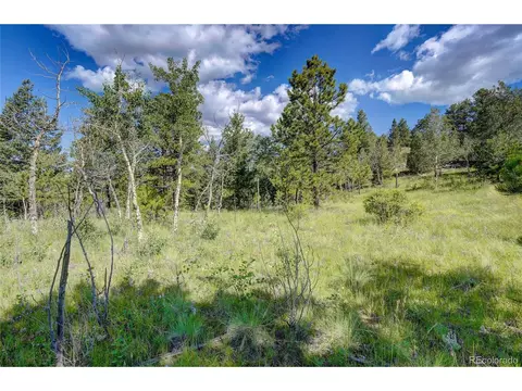33608 Running Bear Trl, Pine, CO 80470 photo 6