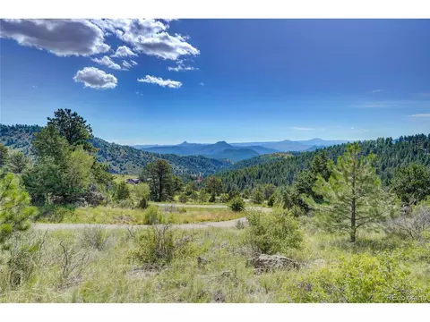 33608 Running Bear Trl, Pine, CO 80470 photo 11