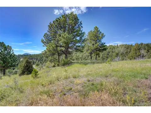 33608 Running Bear Trl, Pine, CO 80470 photo 8