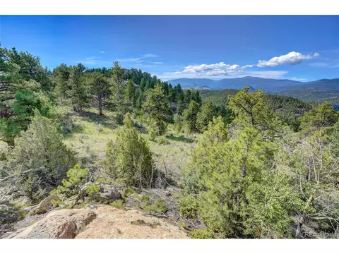 33608 Running Bear Trl, Pine, CO 80470 photo 4