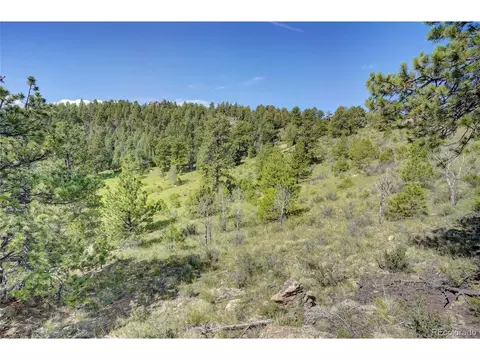 33608 Running Bear Trl, Pine, CO 80470 photo 9