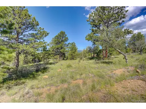 33608 Running Bear Trl, Pine, CO 80470 photo 2