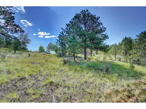 33608 Running Bear Trl, Pine, CO 80470 photo 3