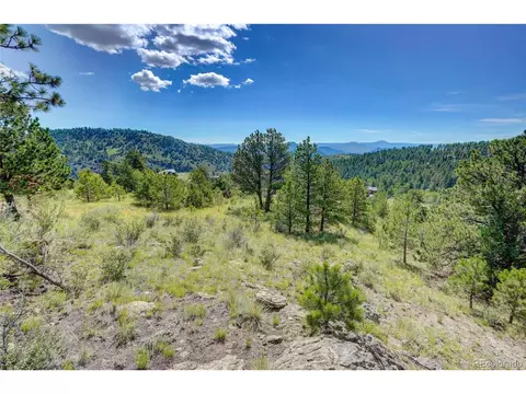 33608 Running Bear Trl, Pine, CO 80470 photo 10