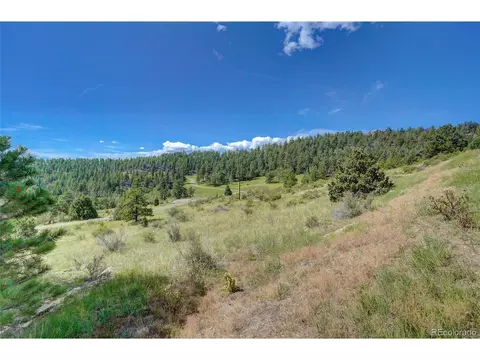 33608 Running Bear Trl, Pine, CO 80470 photo 13
