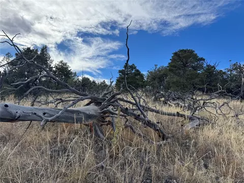 2926 E Path, Cotopaxi, CO 81223 photo 25