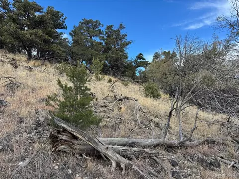 2926 E Path, Cotopaxi, CO 81223 photo 35