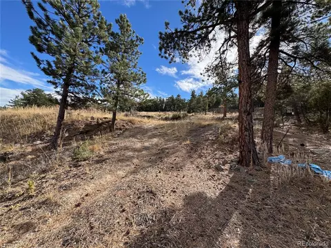 2926 E Path, Cotopaxi, CO 81223 photo 10