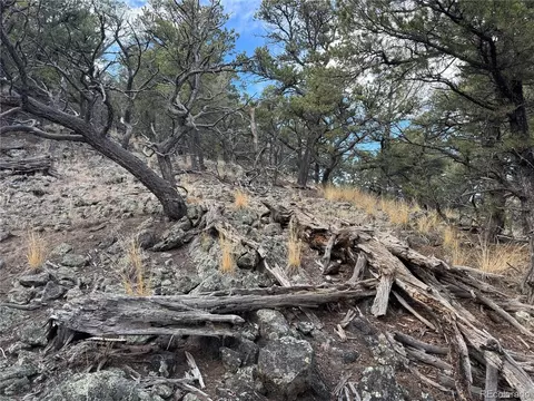 2926 E Path, Cotopaxi, CO 81223 photo 38