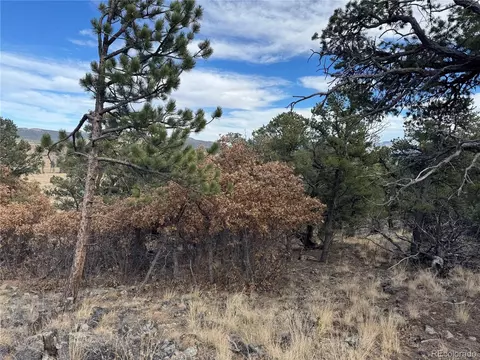 2926 E Path, Cotopaxi, CO 81223 photo 44