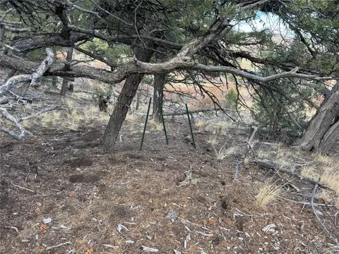 2926 E Path, Cotopaxi, CO 81223 photo 41
