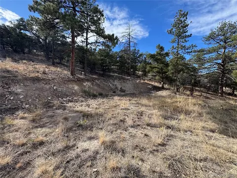 2926 E Path, Cotopaxi, CO 81223 photo 16