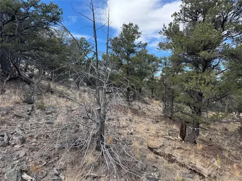 2926 E Path, Cotopaxi, CO 81223 photo 40