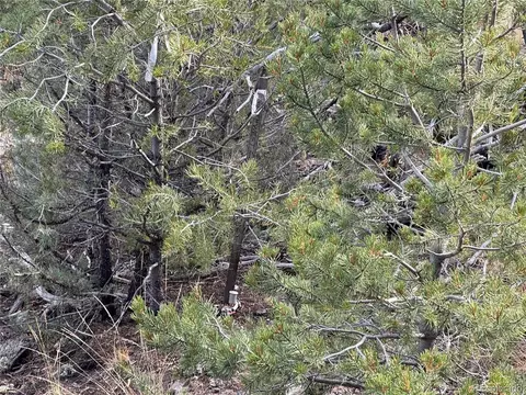 2926 E Path, Cotopaxi, CO 81223 photo 29