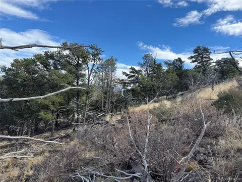 2926 E Path, Cotopaxi, CO 81223 photo 19