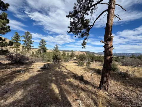 2926 E Path, Cotopaxi, CO 81223 photo 12