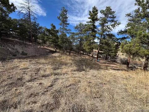 2926 E Path, Cotopaxi, CO 81223 photo 15